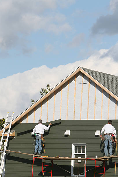 Best Carpet Removal and Disposal  in Hermann, MO